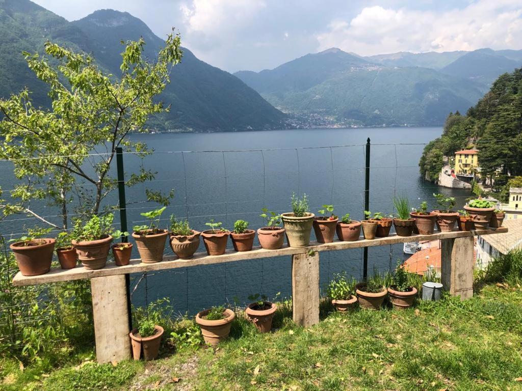 Gli Orti Della Civera " Cottagecore" Amazing View Nesso Zewnętrze zdjęcie