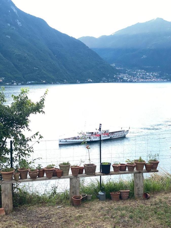 Gli Orti Della Civera " Cottagecore" Amazing View Nesso Zewnętrze zdjęcie